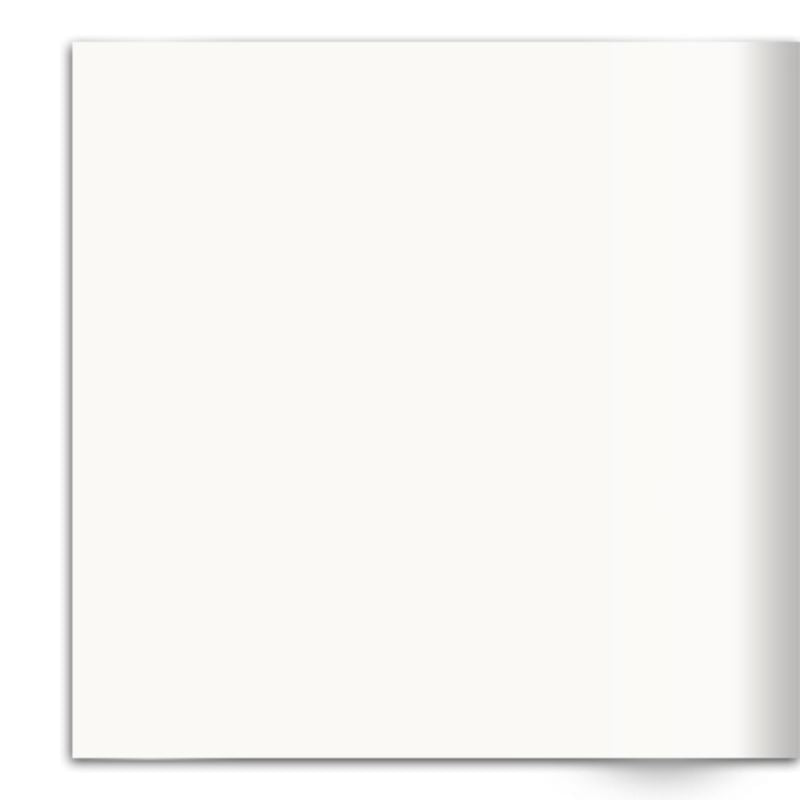 HEURISTIC BREW Broadcast Book Variant Found Document 1/150 Limited Transmissions